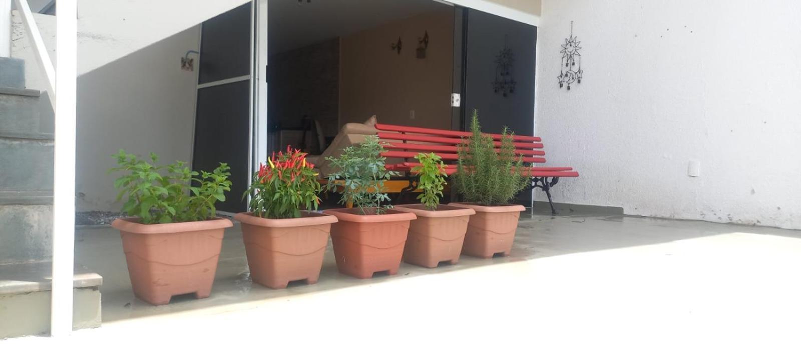 Studio Do Wander Ампару Екстер'єр фото